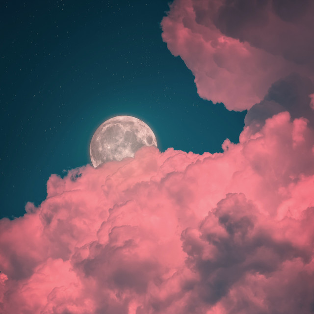 Violet Dreams