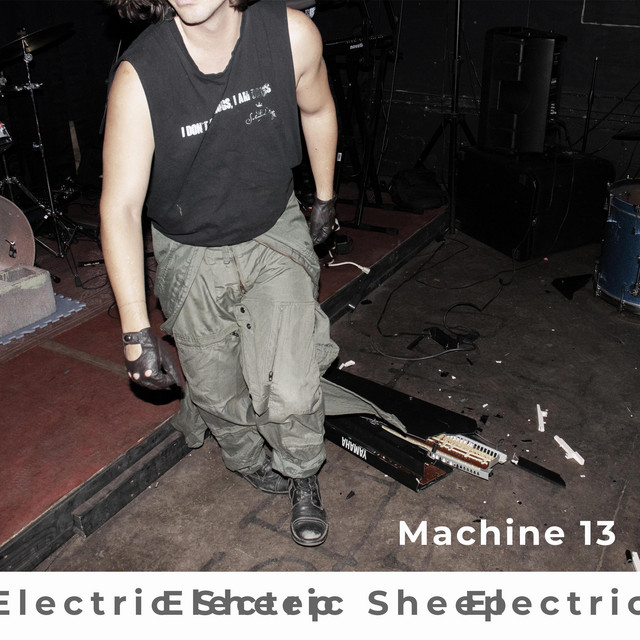 Electric Sheep cover art