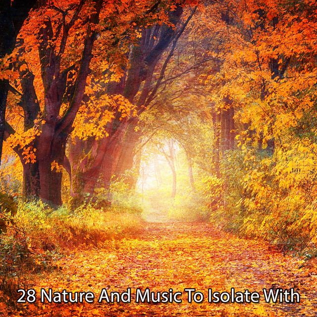 28 Nature And Music To Isolate With - Album by Hipnose Natureza Sons ...