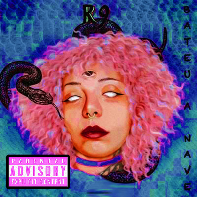 Bateu a Navy cover art