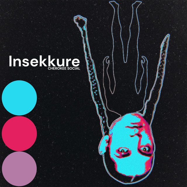 Insekkure album image