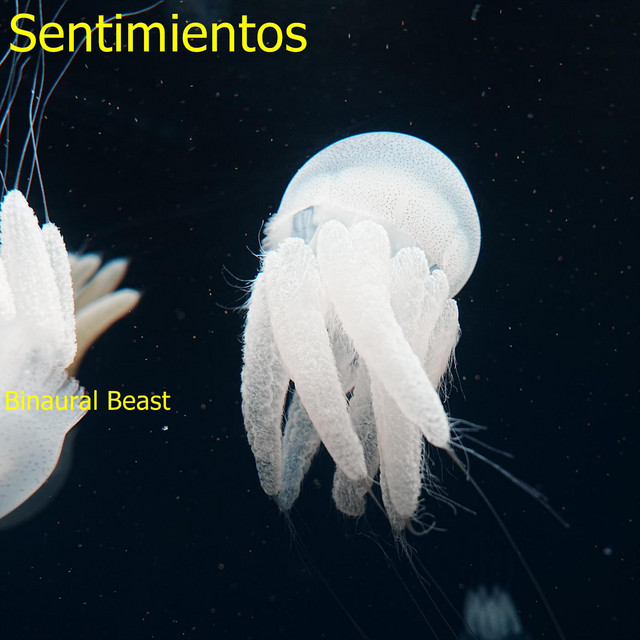 Sentimientos cover art