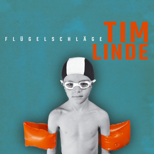 Flügelschläge cover art