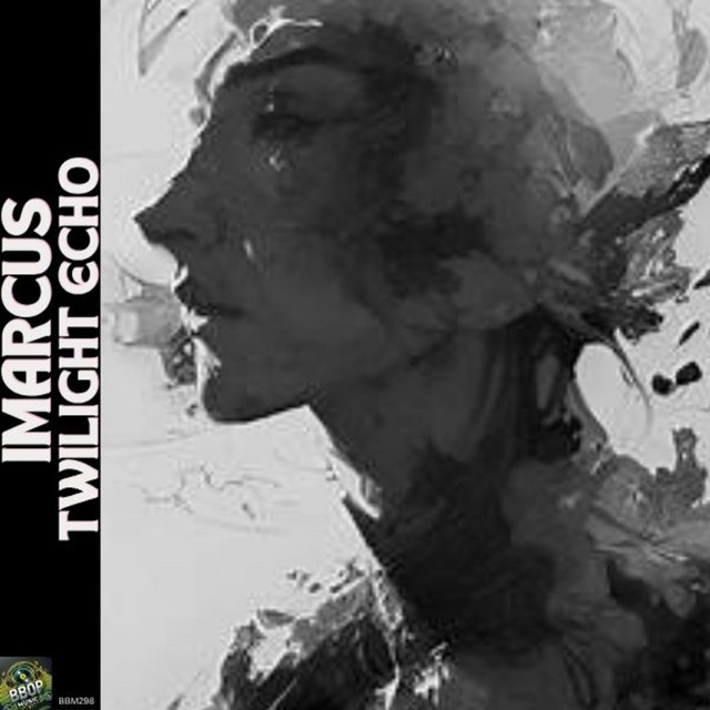 Twilight Echo cover art