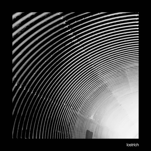 lostrich cover art