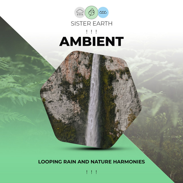 Looping Ambient Rain and Nature Harmonies ! ! ! - Album by Rainforest ...