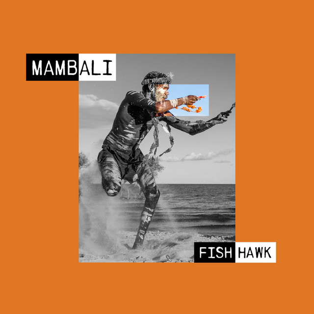 Fish Hawk cover art