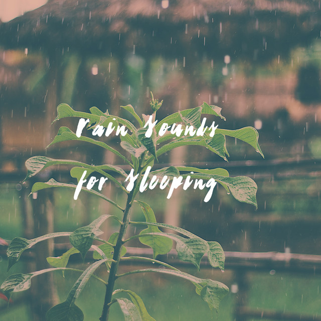 Rain Sounds for Sleeping cover art
