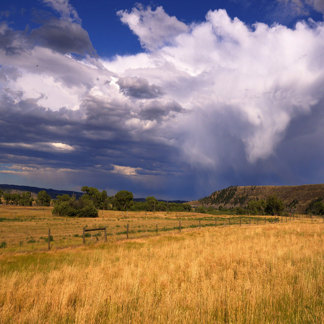 The coming of the dream season