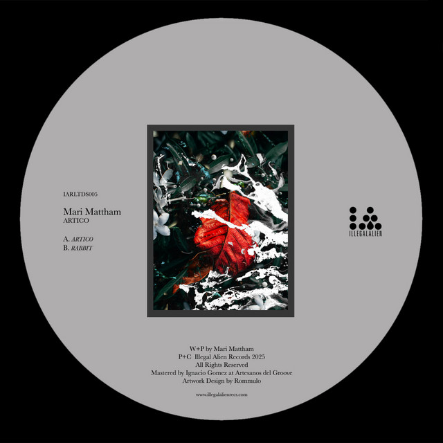Artico album art