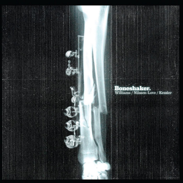 Boneshaker cover art