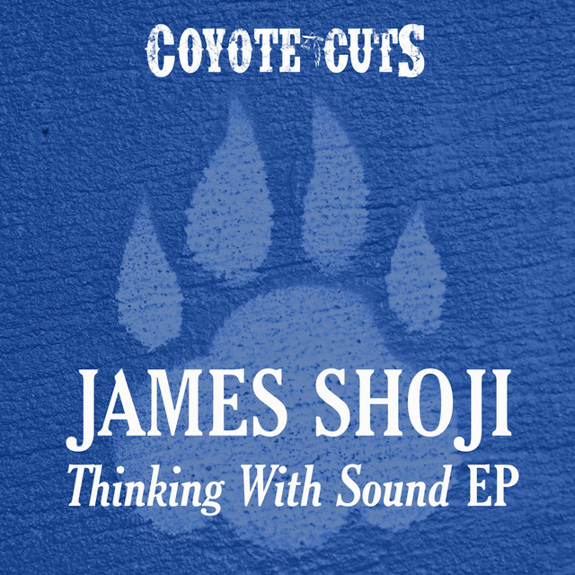 Thinking With Sound cover