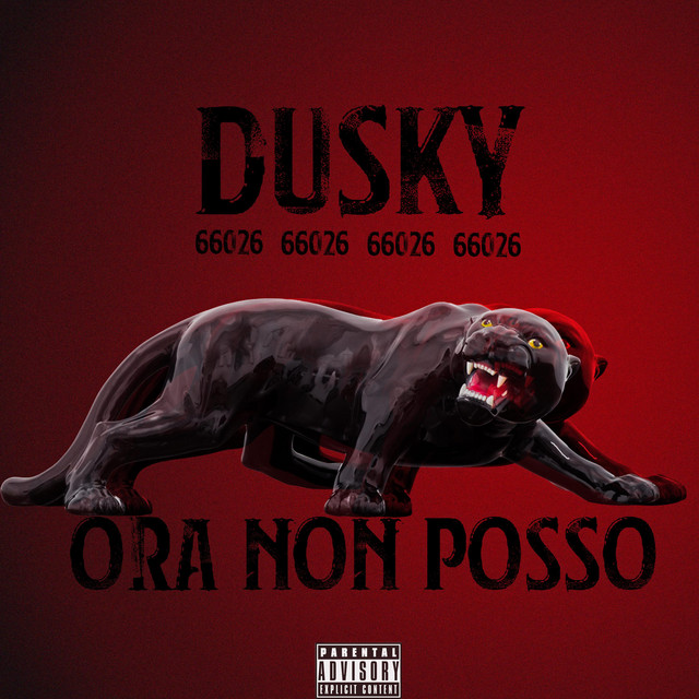 ORA NON POSSO cover art