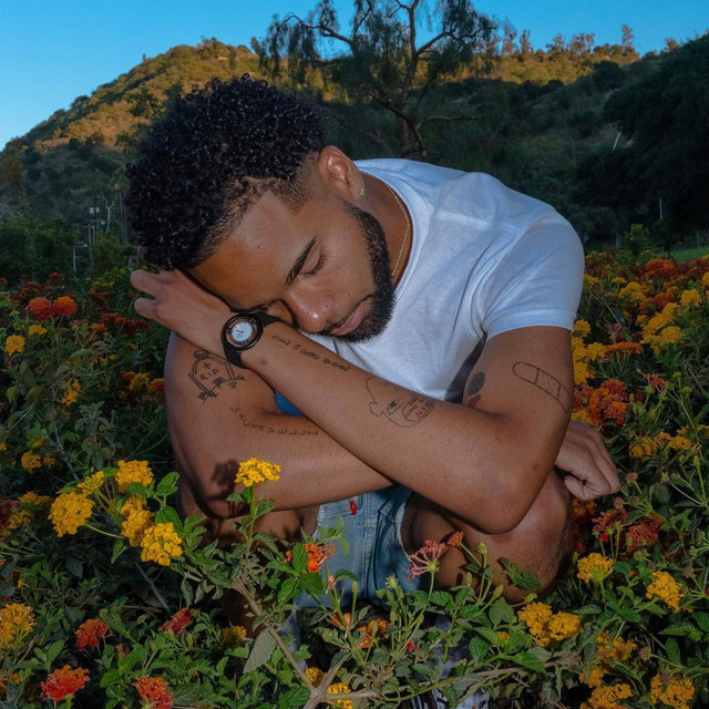 ily say it back cover art