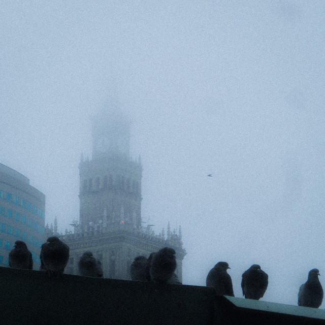 Cover art: декабрь — le requiem