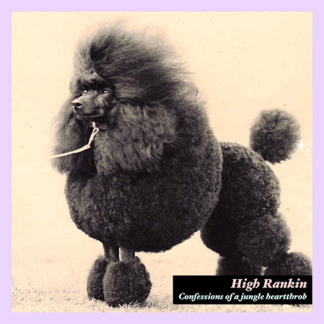 Confessions Of A Jungle Heartthrob cover art