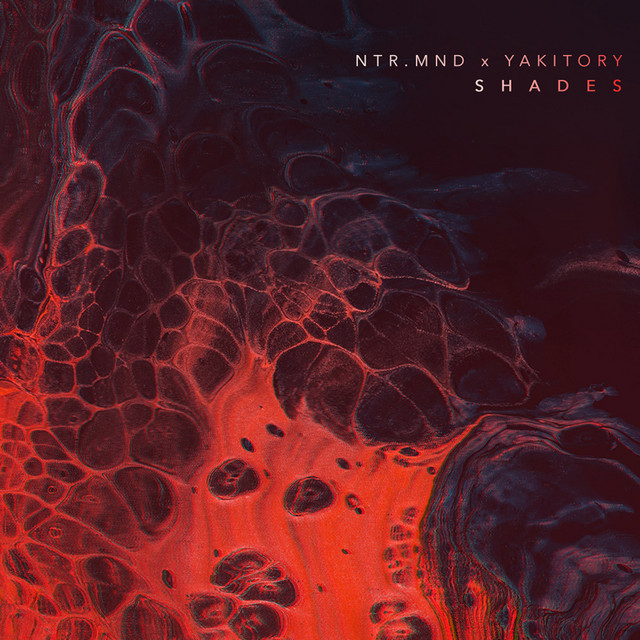 Shades cover art