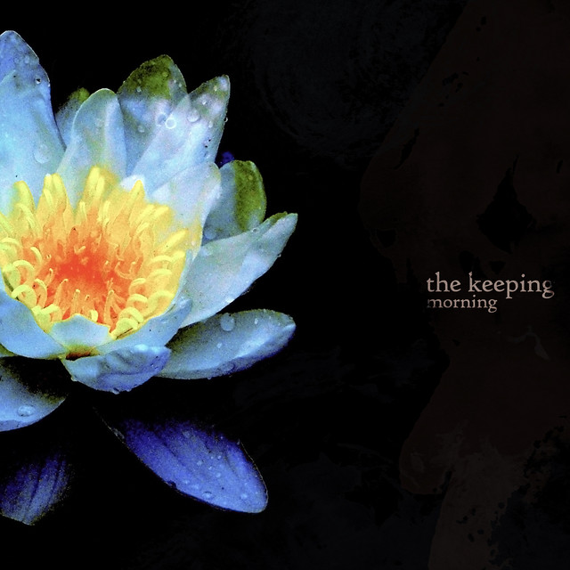 Morning cover art