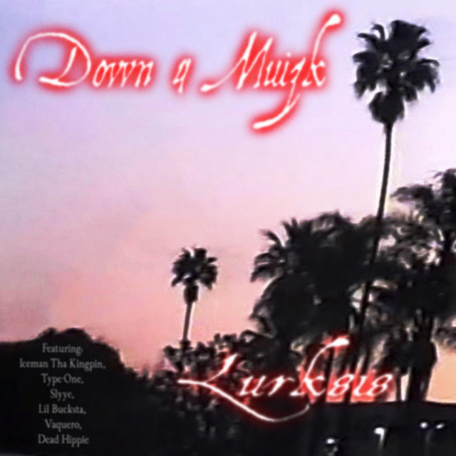 Down 4 Muzik cover art