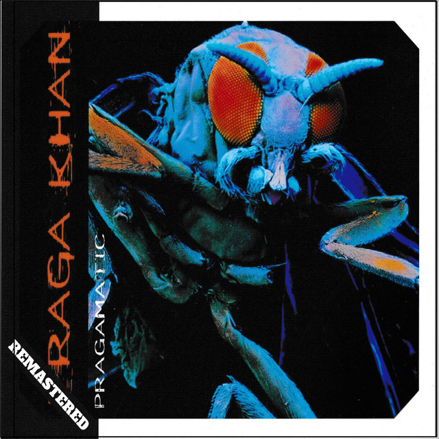 Pragamatic cover