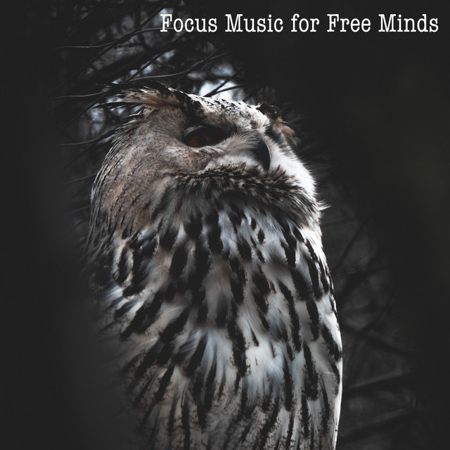 Focus Music for Free Minds cover art