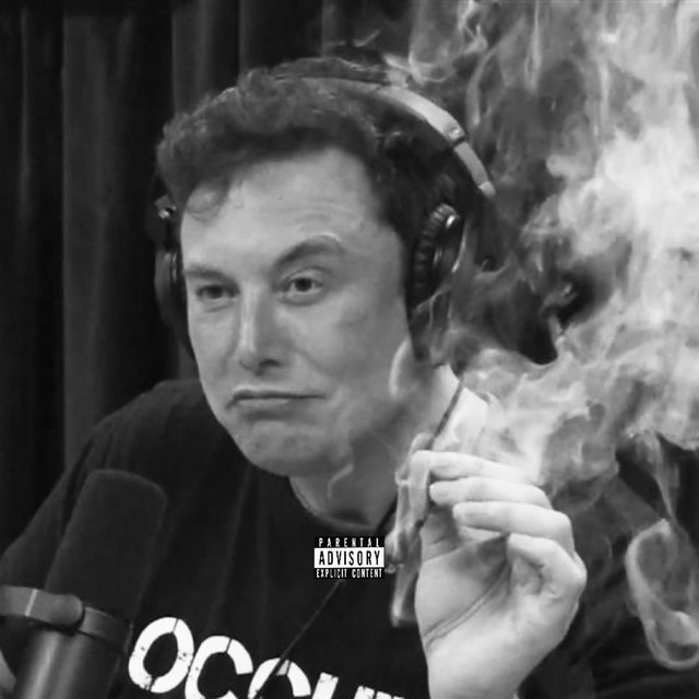 Elon Musk - song and lyrics by Oaktree | Spotify