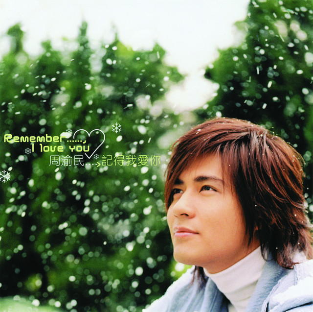 記得我愛你 cover art