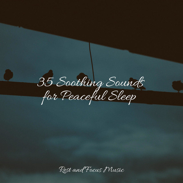 35 Soothing Sounds for Peaceful Sleep - Album by Baby Sleep Music | Spotify