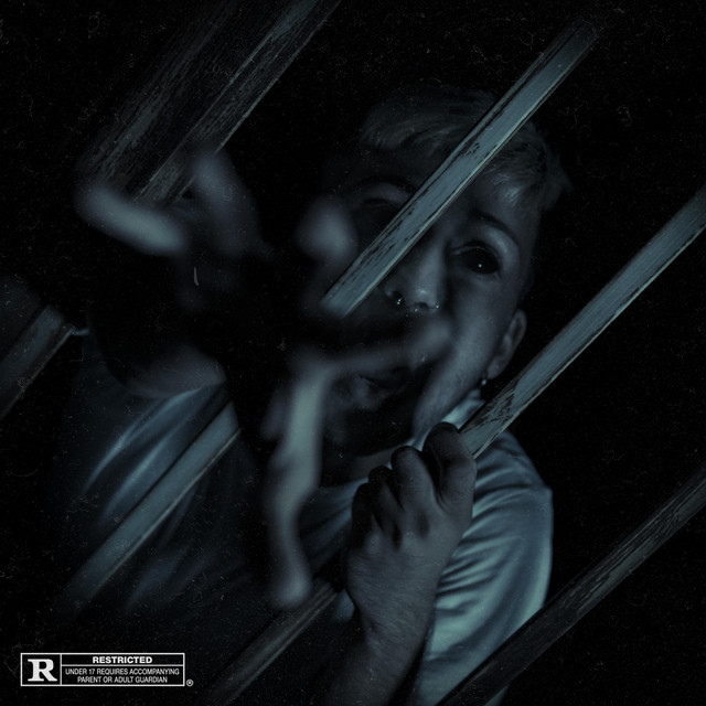 Insomnia cover art