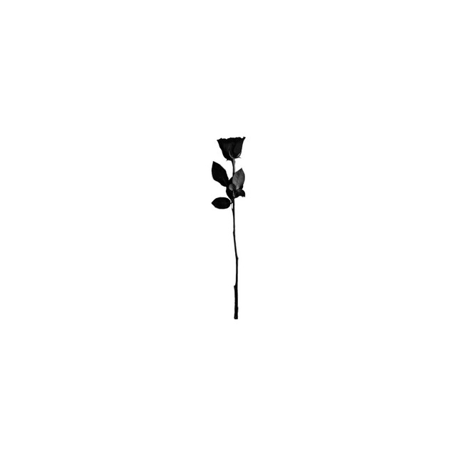 too close cover art
