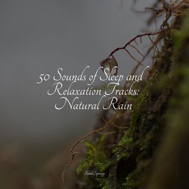 50 Sounds of Sleep and Relaxation Tracks: Natural Rain - Album by ...
