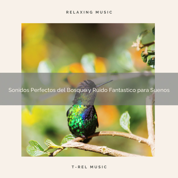 Sonidos Perfectos del Bosque y Ruido Fantastico para Suenos cover art