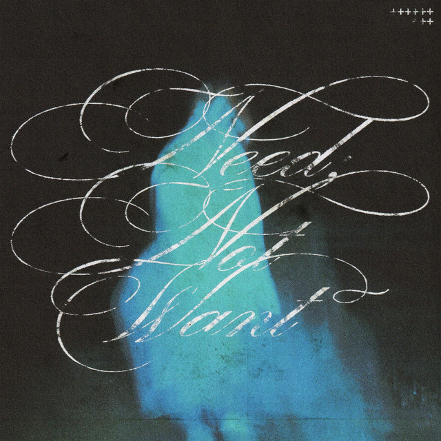 Need, Not Want album image