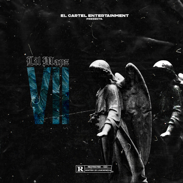 VII cover art