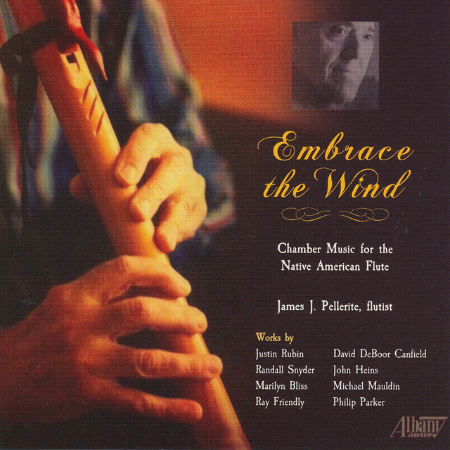 Embrace the Wind cover