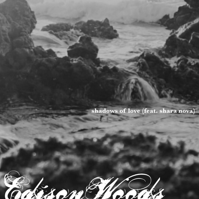 Edison Woods Photo
