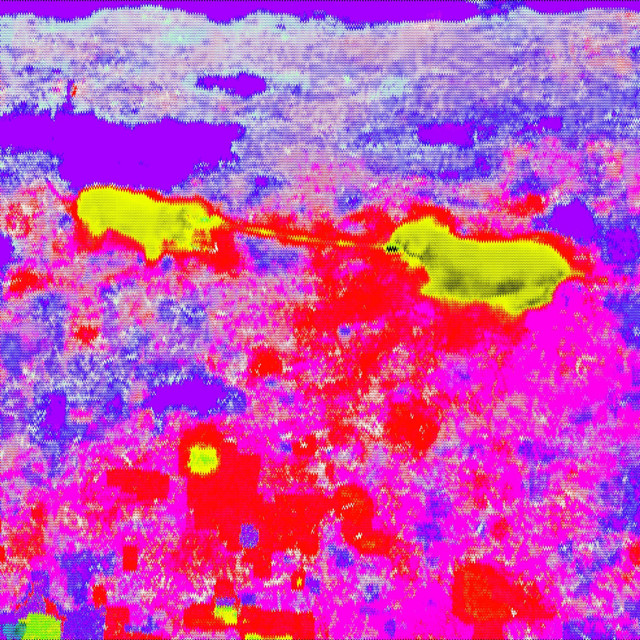 Cellar Door cover art