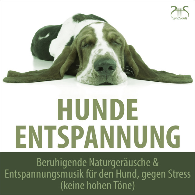 Hunde Entspannung - Beruhigende Naturgeräusche & Entspannungsmusik für den Hund, gegen Stress (keine hohen Töne) cover art