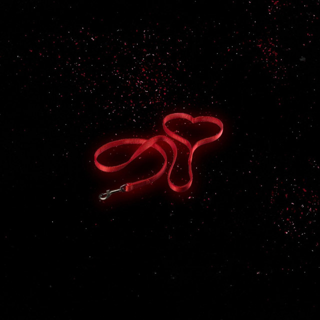 LEASH cover art