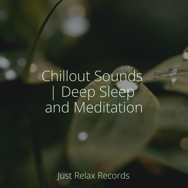 Soothing Stream Symphony - música y letra de Brain Study Music Guys ...