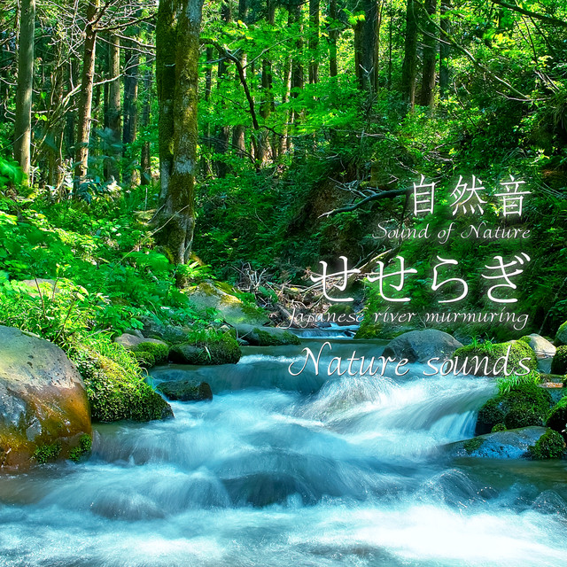 自然音 せせらぎ - Album by Nature Sounds | Spotify