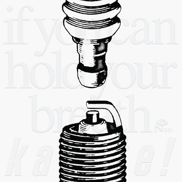 If You Can Hold Your Breath cover art