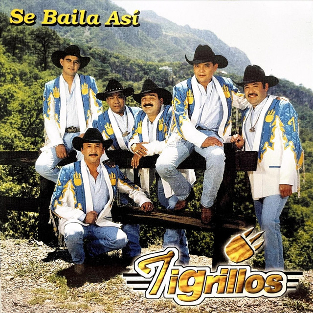 Los Tigrillos