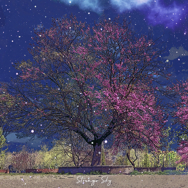 Stranger Sky