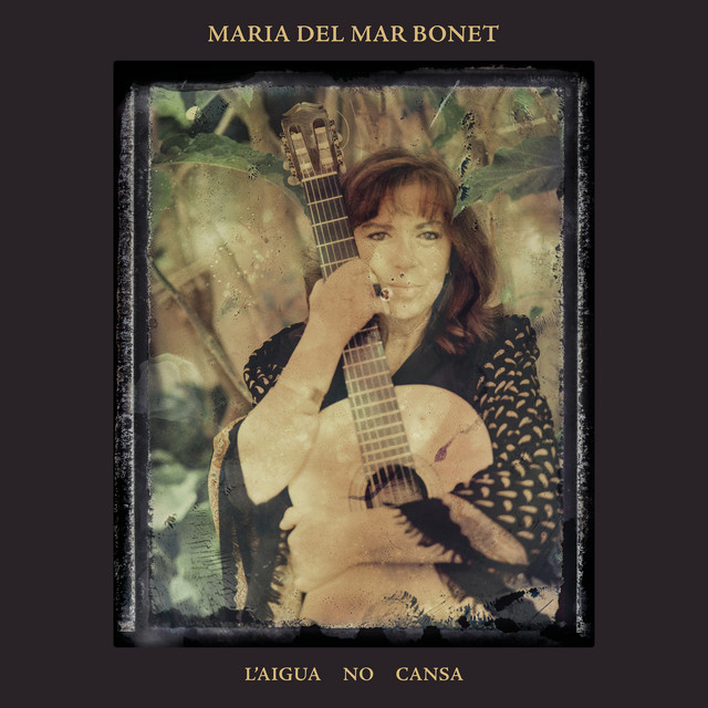 L'aigua no cansa cover art