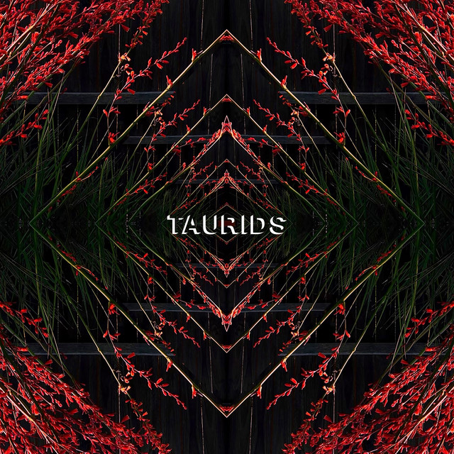 Taurids cover art