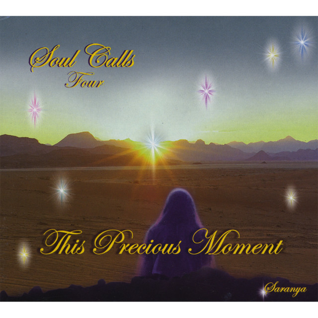 Soul Calls Four ~ This Precious Moment cover art