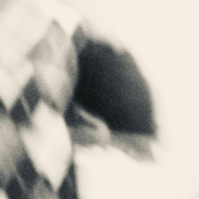 RP cover art