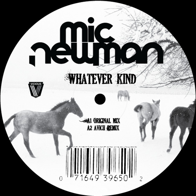 Whatever Kind (Avicii Remix) cover