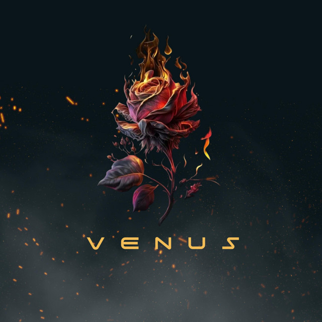 Venus - Single by Timmy Laine | Spotify